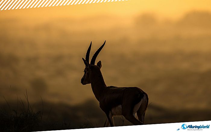 9 Boma National Park, South Sudan