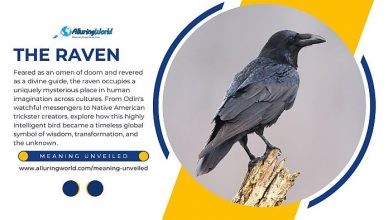 The Symbolism Behind the Raven in Mythology and Folklore - Meaning Unveiled
