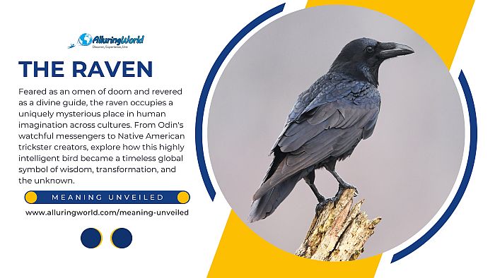 The Symbolism Behind the Raven in Mythology and Folklore - Meaning Unveiled