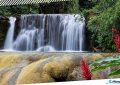 1 YS Falls in Jamaica