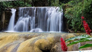 1 YS Falls in Jamaica