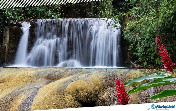 1 YS Falls in Jamaica