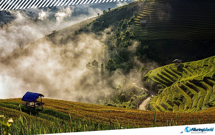 10 Mù Cang Chải Rice Terraces