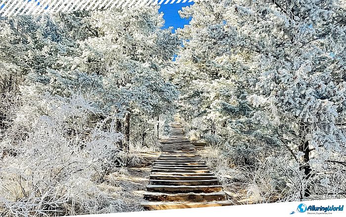 11 Manitou Incline in Colorado