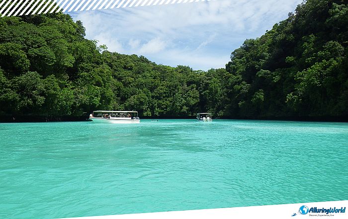 11 Milky Way Cove in Palau