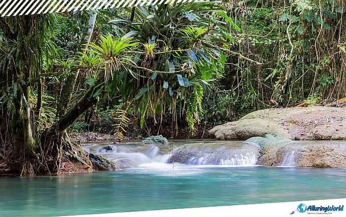 11 YS Falls in Jamaica