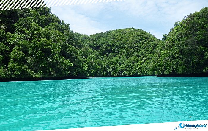 12 Milky Way Cove in Palau