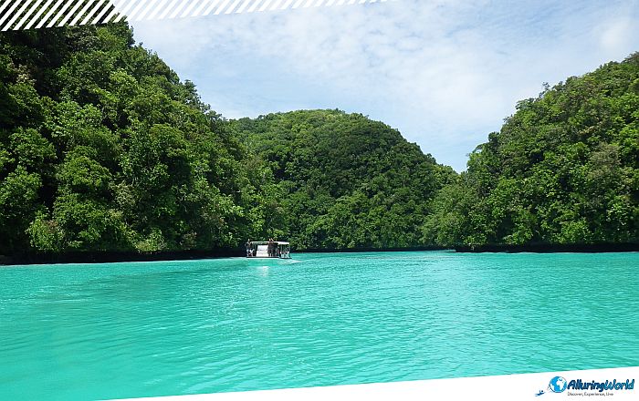 2 Milky Way Cove in Palau