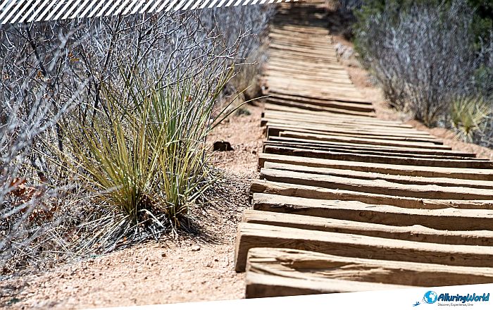 3 Manitou Incline in Colorado
