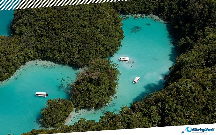 3 Milky Way Cove in Palau