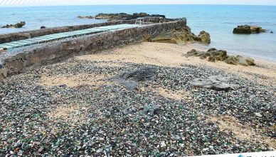 3 Sea Glass Beach, Bermuda