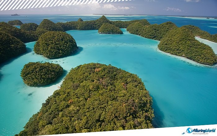 4 Milky Way Cove in Palau