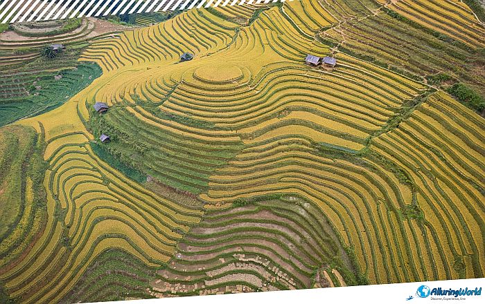 5 Mù Cang Chải Rice Terraces