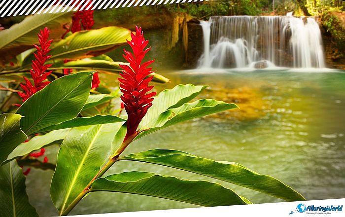 5 YS Falls in Jamaica