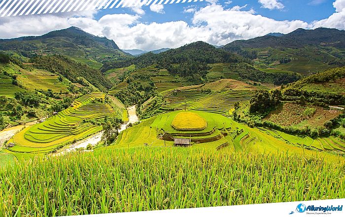 6 Mù Cang Chải Rice Terraces