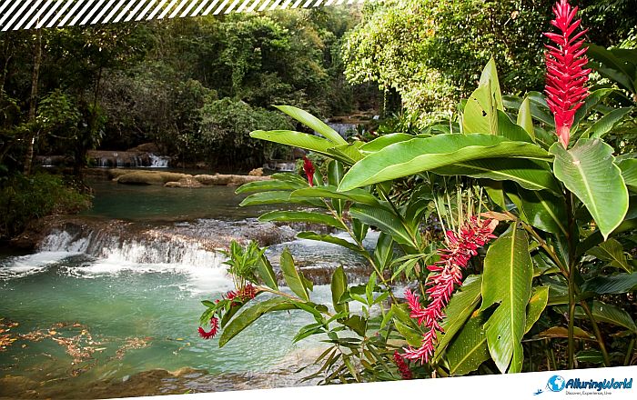 6 YS Falls in Jamaica
