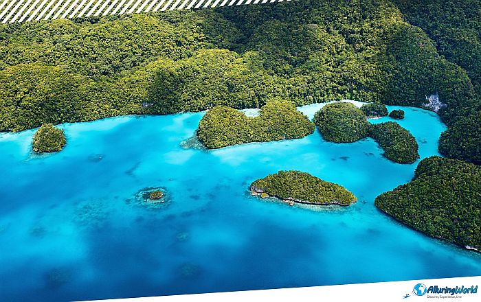 9 Milky Way Cove in Palau