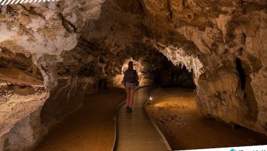 1 Waitomo Caves