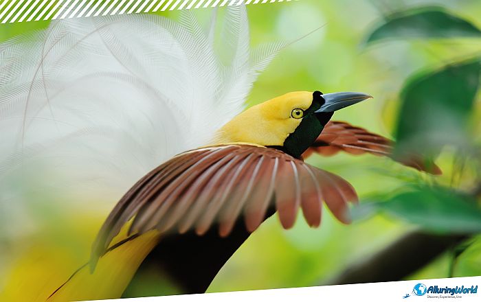 10 Little Tobago Island in Trinidad and Tobago