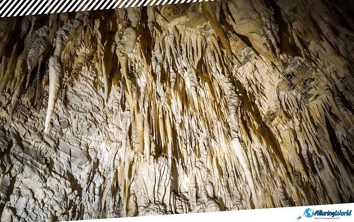 10 Waitomo Caves