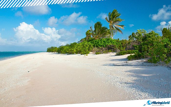 11 Enewetak Atoll and Runit Dome