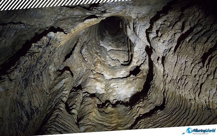 11 Waitomo Caves