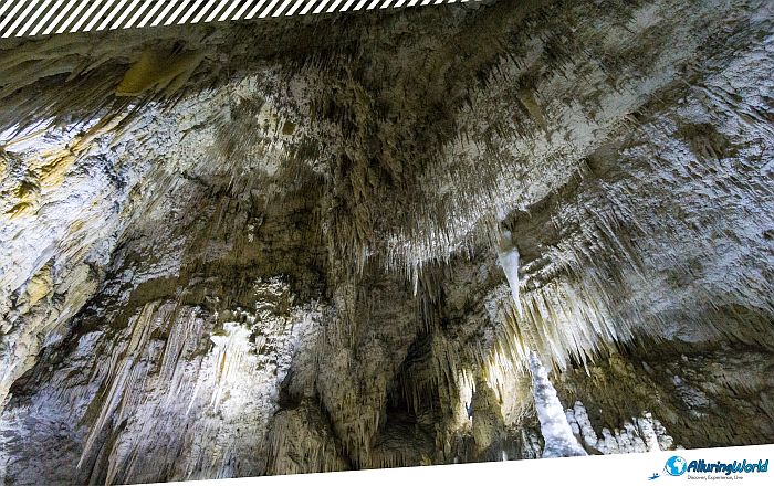 12 Waitomo Caves