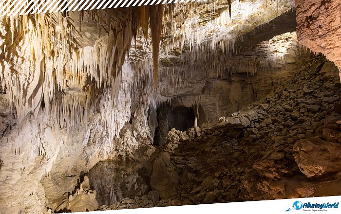 3 Waitomo Caves