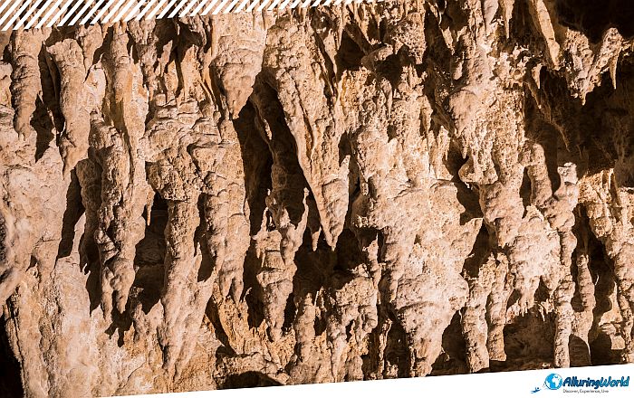 4 Waitomo Caves