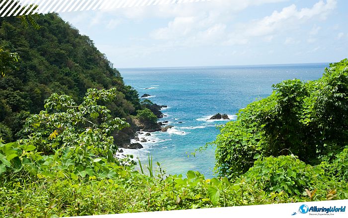 5 Little Tobago Island in Trinidad and Tobago