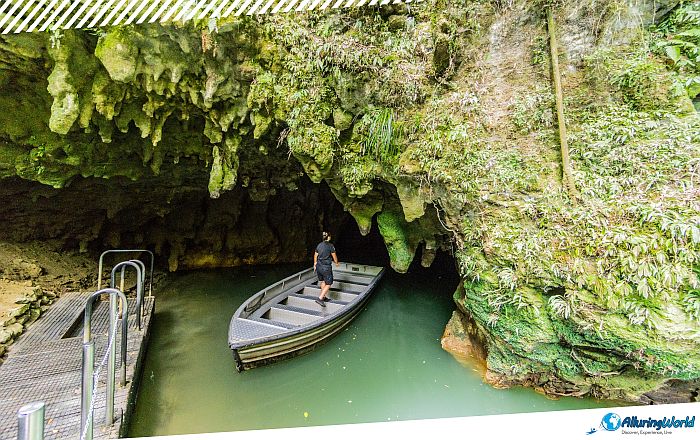 5 Waitomo Caves