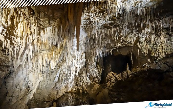 6 Waitomo Caves
