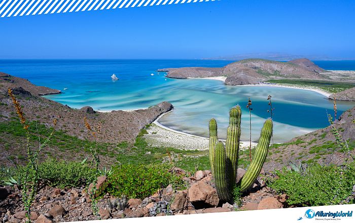 9 Playa Balandra near La Paz in Mexico
