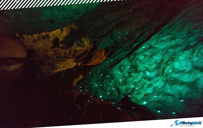 9 Waitomo Caves