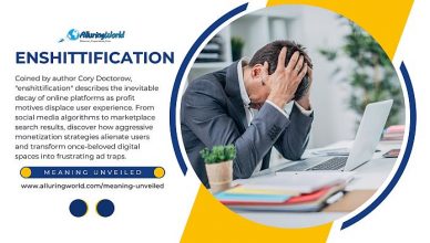 What Is Enshittification - The Decline of Platforms - Meaning Unveiled
